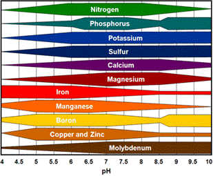 Plant-Nutrition